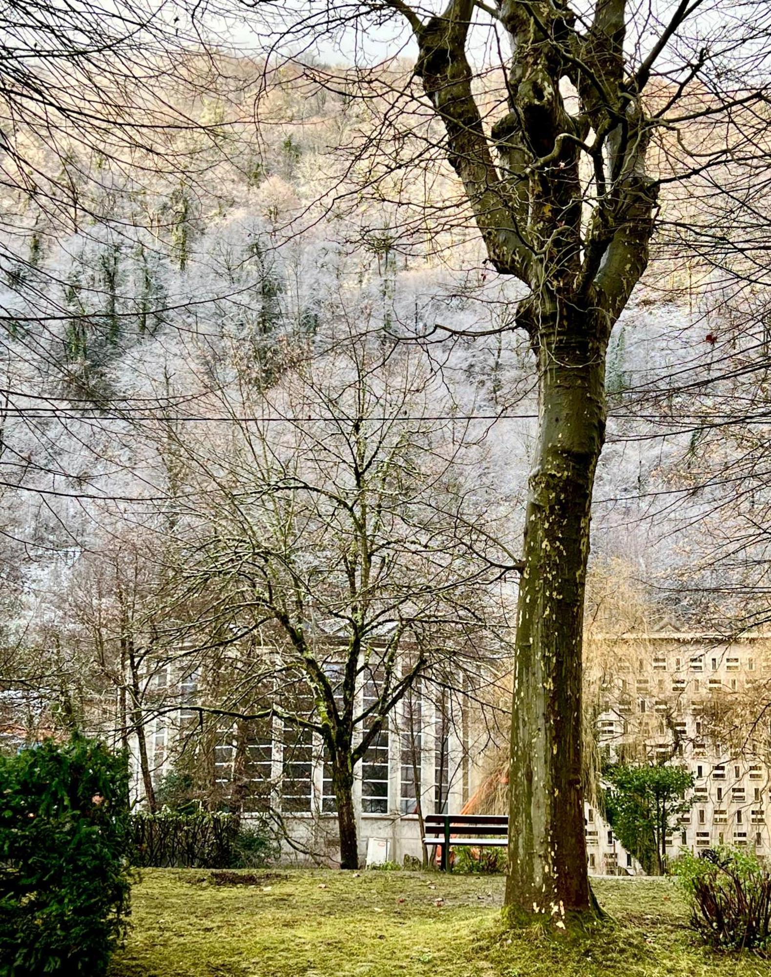 Fantastic Ground Floor Opposite Thermes Apartment *