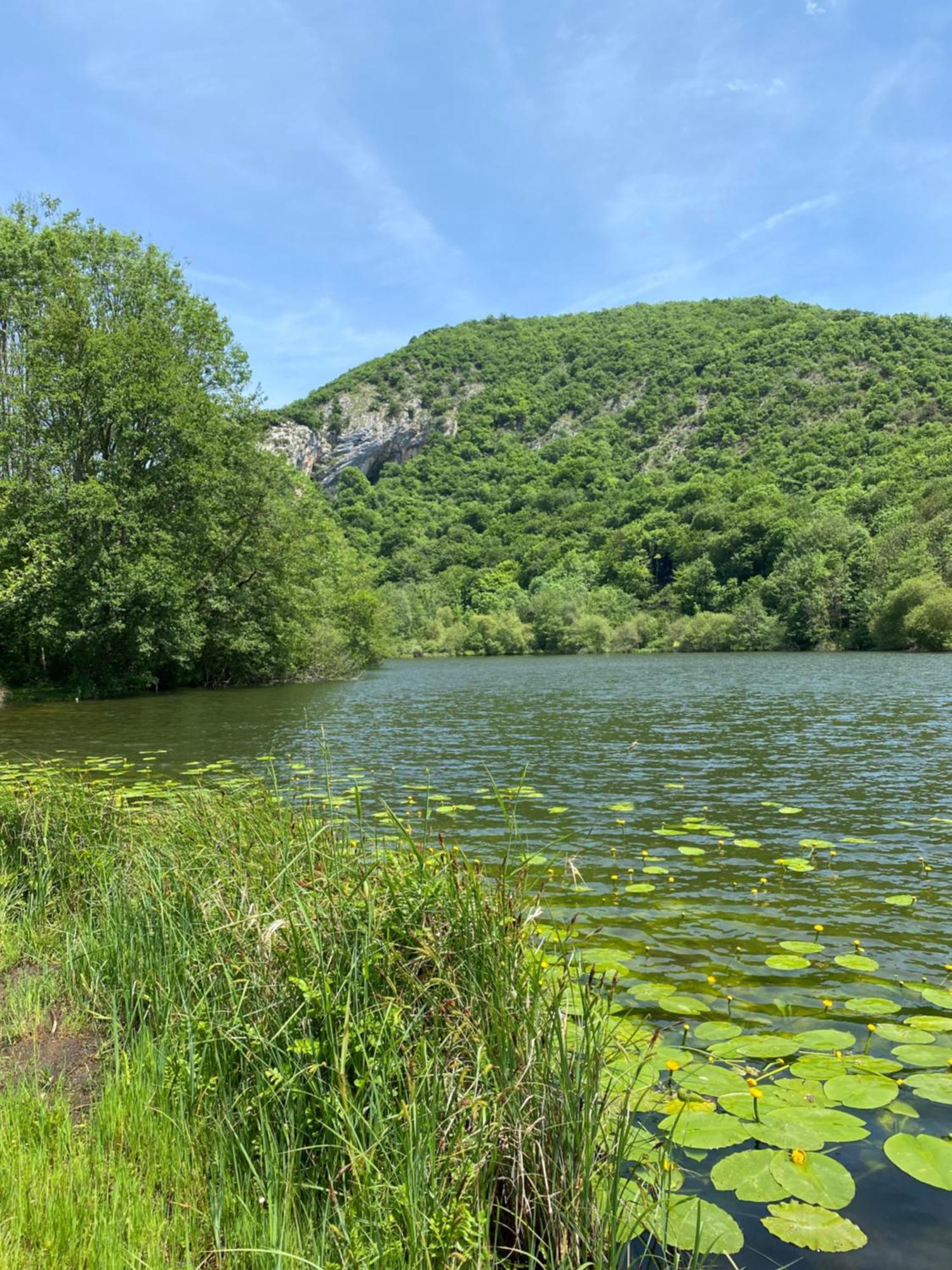Apartment Fantastic Ground Floor Opposite Thermes Bagnères-de-Luchon